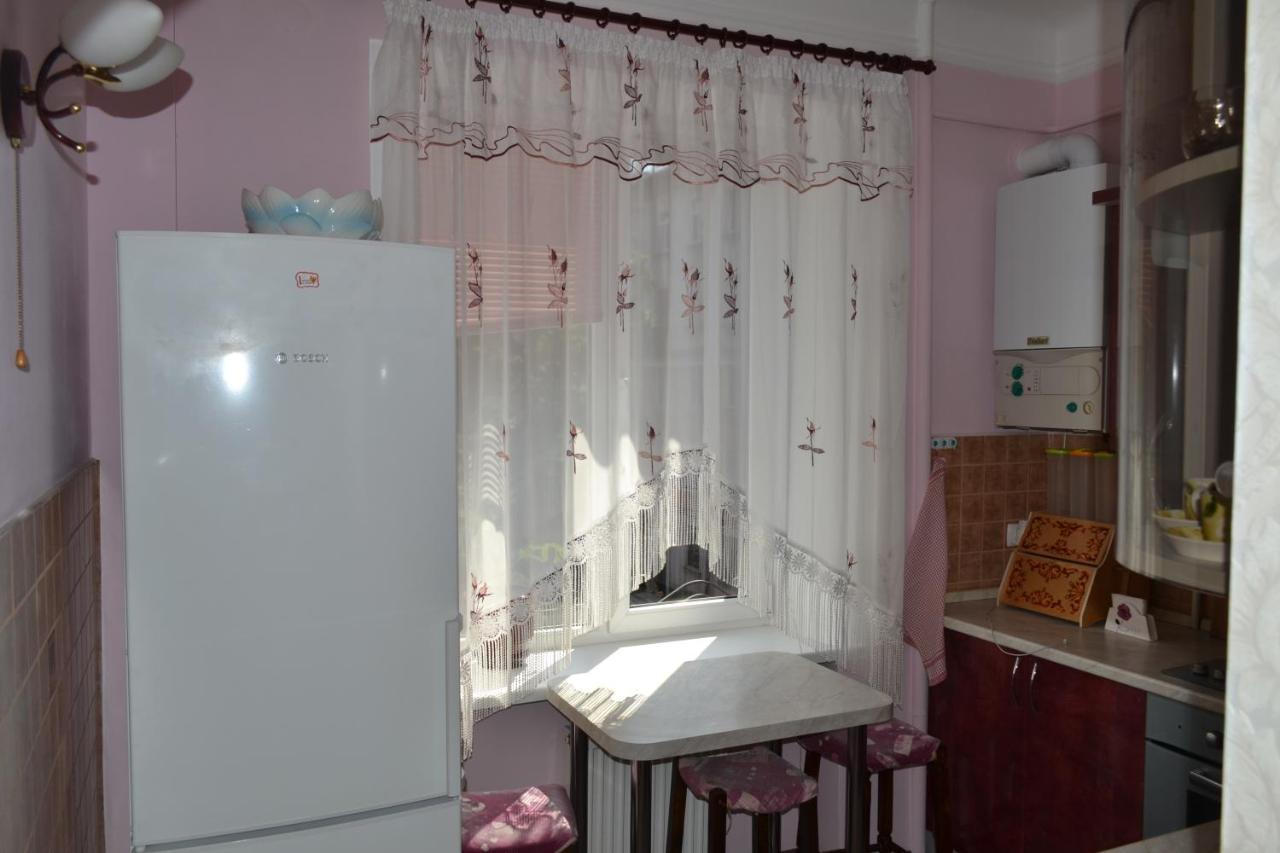 Executive Suite In The Centre Ternopil Esterno foto