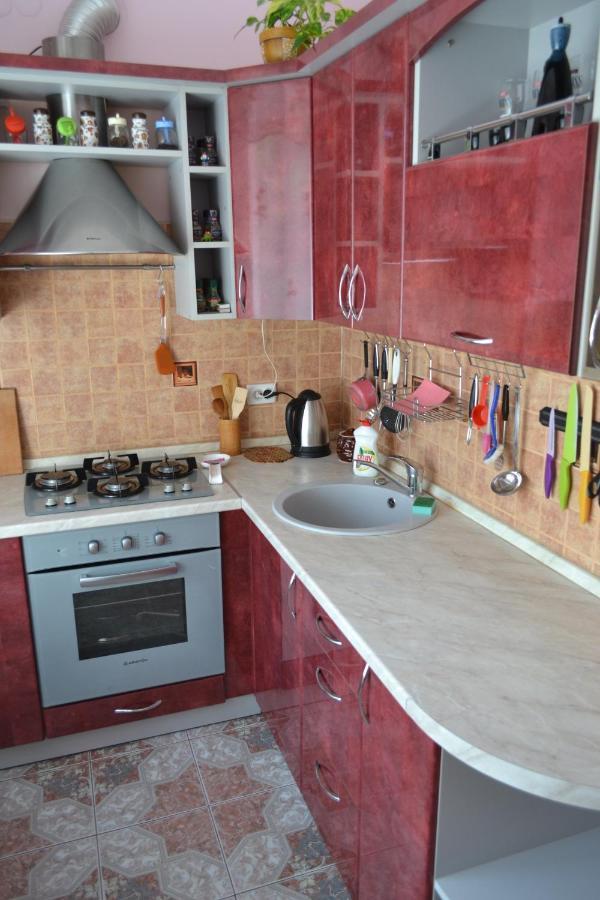 Executive Suite In The Centre Ternopil Esterno foto